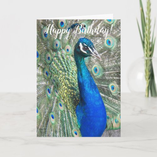 Beautiful Blue Peacock Birthday Card