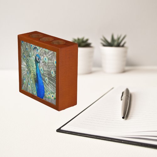 Beautiful Blue Peacock Feathers Desk Organizer