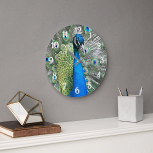 Beautiful Blue Peacock Feathers Large Clock