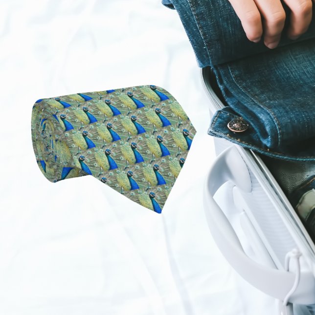 Beautiful Blue Peacock Feathers Neck Tie (In Situ (Rolled))