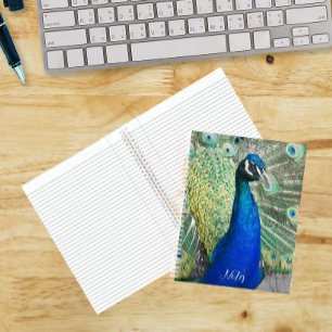 Beautiful Blue Peacock Feathers Notebook