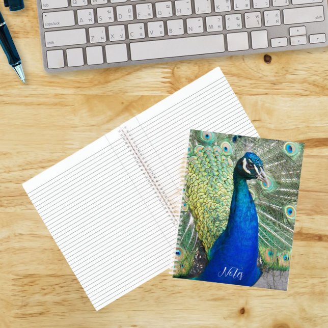 Beautiful Blue Peacock Feathers Notebook (In Situ)