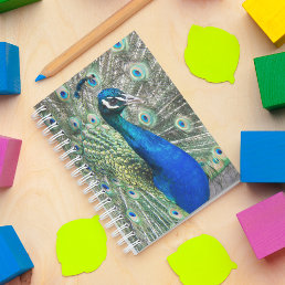 Beautiful Blue Peacock Feathers Notebook