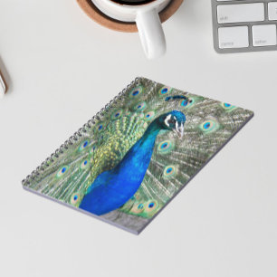 Beautiful Blue Peacock Feathers Notebook