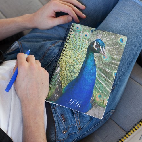 Beautiful Blue Peacock Feathers Notebook