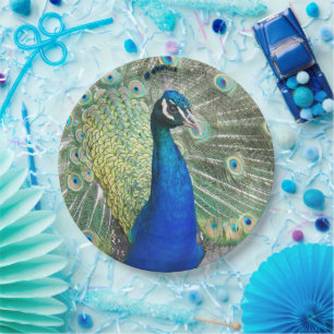 Beautiful Blue Peacock Feathers Paper Plates