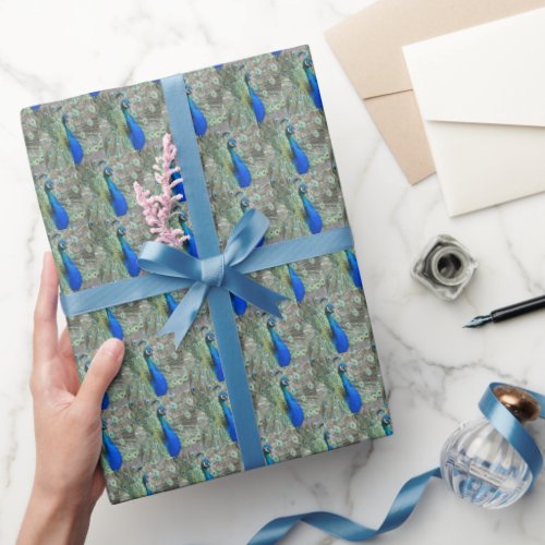 Beautiful Blue Peacock Feathers Wrapping Paper