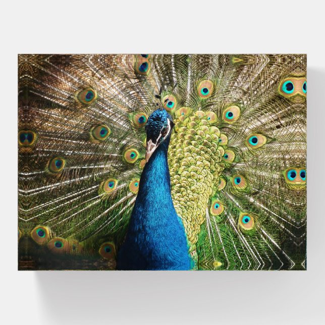 Beautiful Blue Peacock Paperweight (Front)