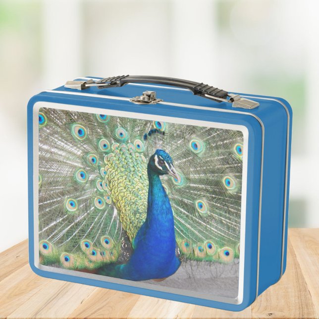 Beautiful Blue Peacock Photo Metal Lunch Box (In Situ Table)