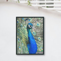 Beautiful Blue Peacock Photo Print