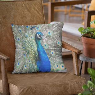 Beautiful Blue Peacock Photo Throw Pillow