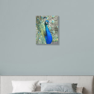 Beautiful Blue Peacock Plumage Acrylic Photo Tile
