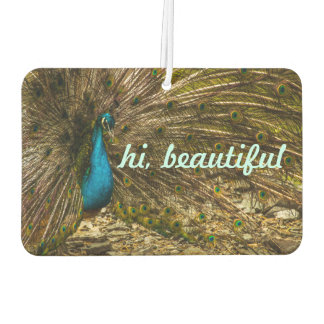 Beautiful Blue Peacock with Open Tail Feathers Air Freshener