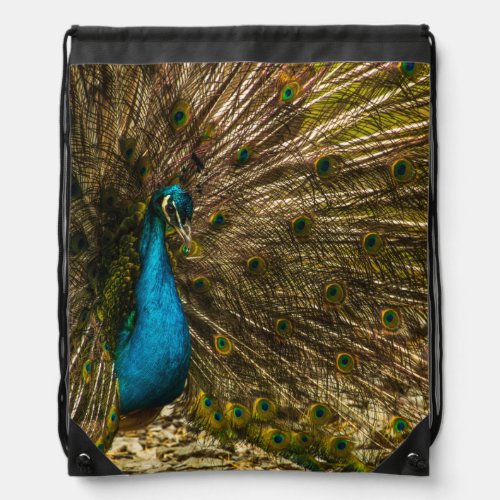Beautiful Blue Peacock with Open Tail Feathers Drawstring Bag