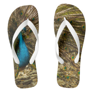 Beautiful Blue Peacock with Open Tail Feathers Flip Flops