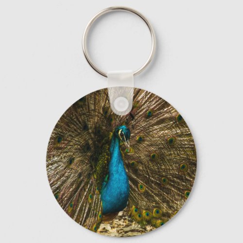 Beautiful Blue Peacock with Open Tail Feathers Keychain