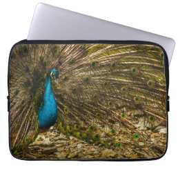 Beautiful Blue Peacock with Open Tail Feathers Laptop Sleeve