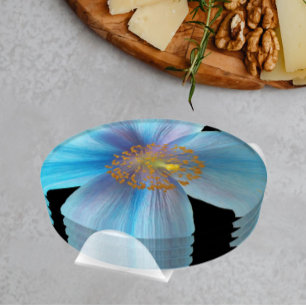Beautiful Blue Poppy Floral Coaster Set