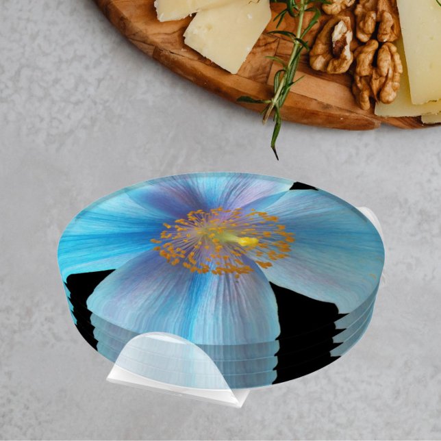 Beautiful Blue Poppy Floral Coaster Set (In Situ Set)