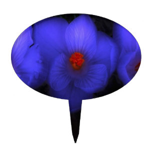 Beautiful Blue Purple Crocus Blooms Cake Topper