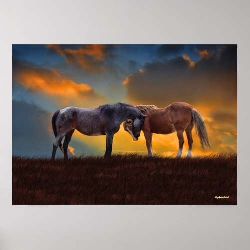 Beautiful Blue Roan and Palomino Horses Sunset Poster