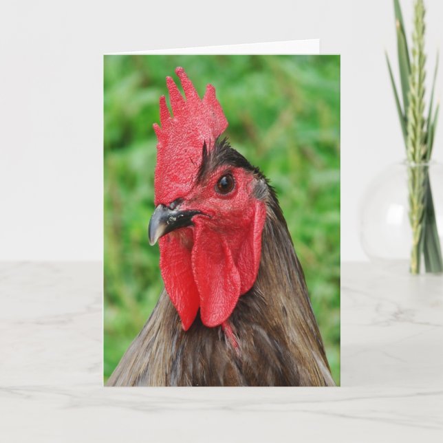 Beautiful Blue Rooster All Occasions  Card (Front)