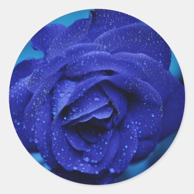 Beautiful Blue Rose Sticker (Front)