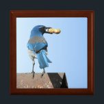 Beautiful Blue Scrub Jay Bird & Peanut Giftbox Gift Box<br><div class="desc">Beautiful picture of a blue jay sitting on a metal roof with a peanut in his mouth. Cute box for your jewelry.</div>