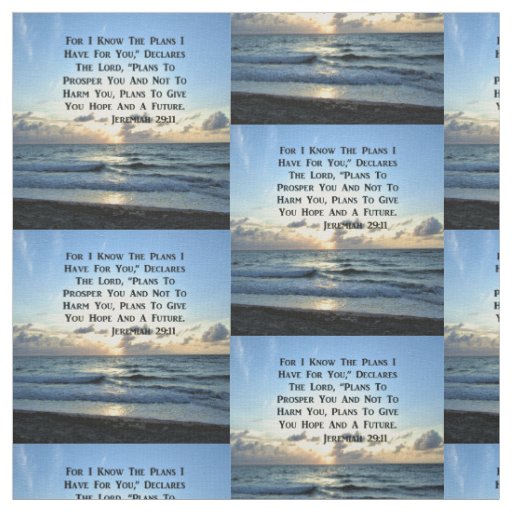 BEAUTIFUL BLUE SKIES JEREMIAH 29:11 PHOTO FABRIC