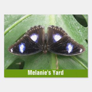 Beautiful Blue Spotted Butterfly Custom Sign