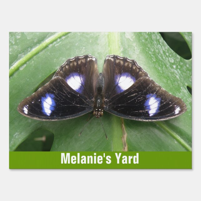 Beautiful Blue Spotted Butterfly Custom Sign (Front)