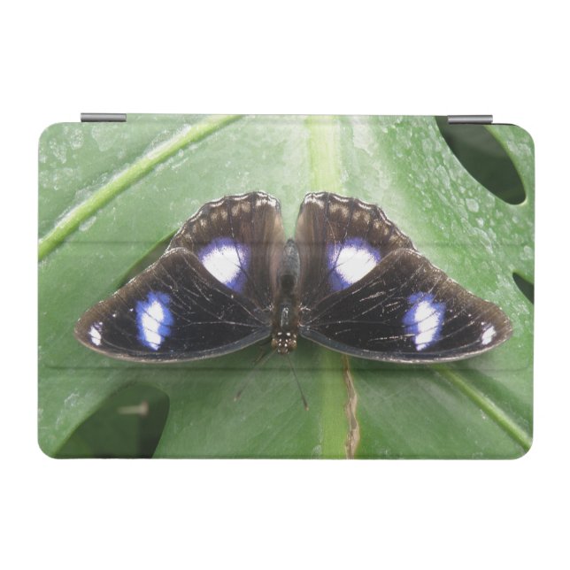 Beautiful Blue Spotted Butterfly iPad Mini Cover (Horizontal)
