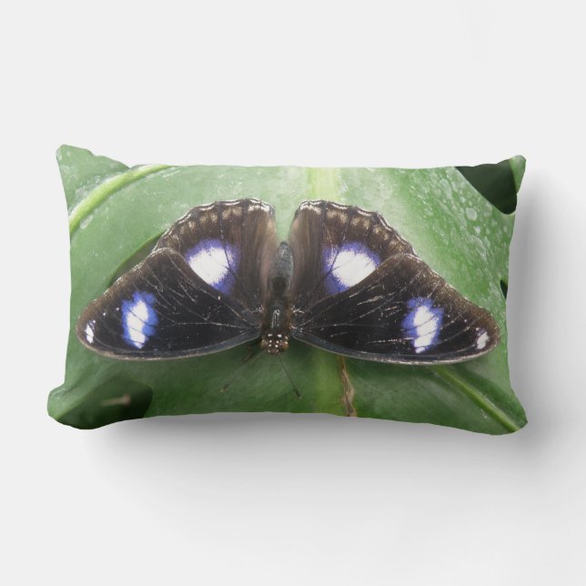 Beautiful Blue Spotted Butterfly Pillow (Front)