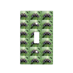 Beautiful Blue Spotted butterfly Switch Cover