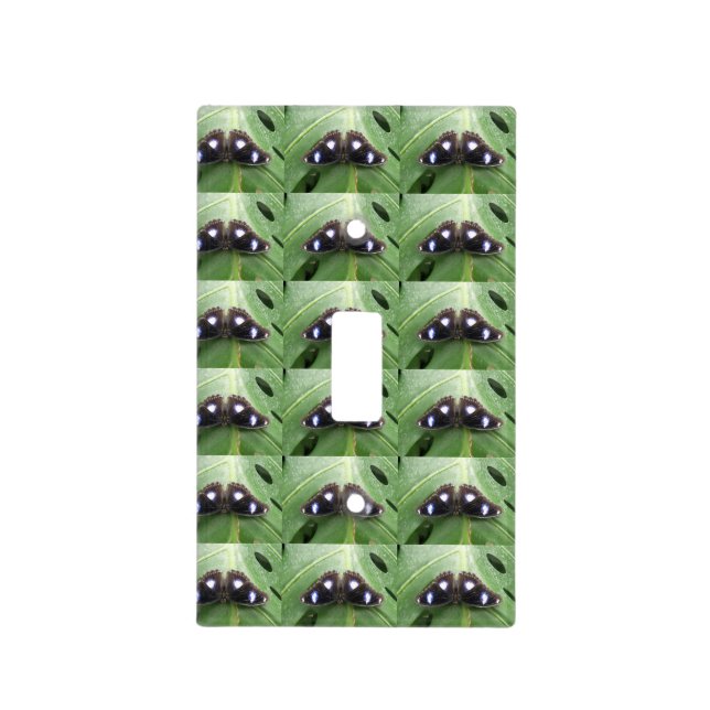 Beautiful Blue Spotted butterfly Switch Cover (Front)