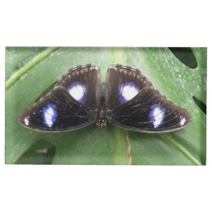 Beautiful Blue Spotted butterfly Table Card Holder