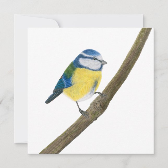Beautiful Blue tit  Card (Front)