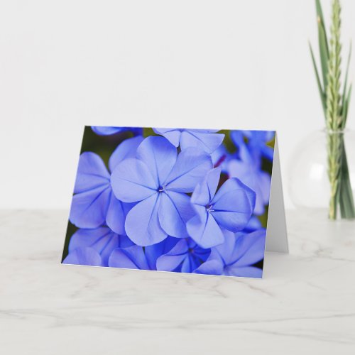 Beautiful Blue Tropical Flowers Note Card