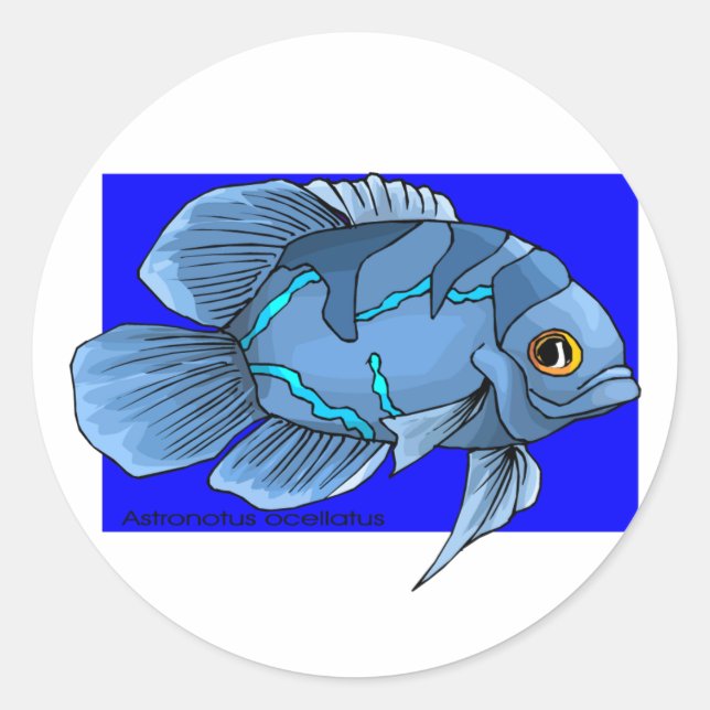 Beautiful Blue Tropical Oscar Fish Classic Round Sticker (Front)