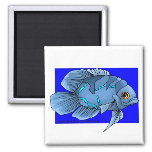 Beautiful Blue Tropical Oscar Fish Magnet