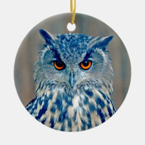 Beautiful Blue Uhu Raptor Owl Ceramic Ornament