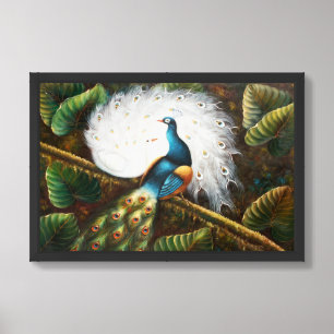 Beautiful Blue White Feather Peacock Bird  Framed Art