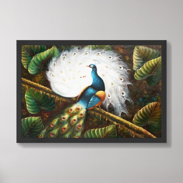 Beautiful Blue White Feather Peacock Bird  Framed Art (Framed Front)