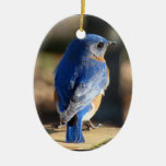 Beautiful Bluebird Ceramic Ornament at Zazzle