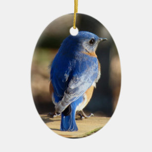 Beautiful Bluebird Ceramic Ornament