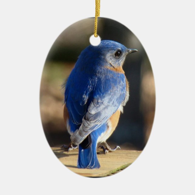 Beautiful Bluebird Ceramic Ornament (Front)