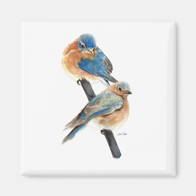 Beautiful Bluebird Couple Watercolor Art Magnet (Front)
