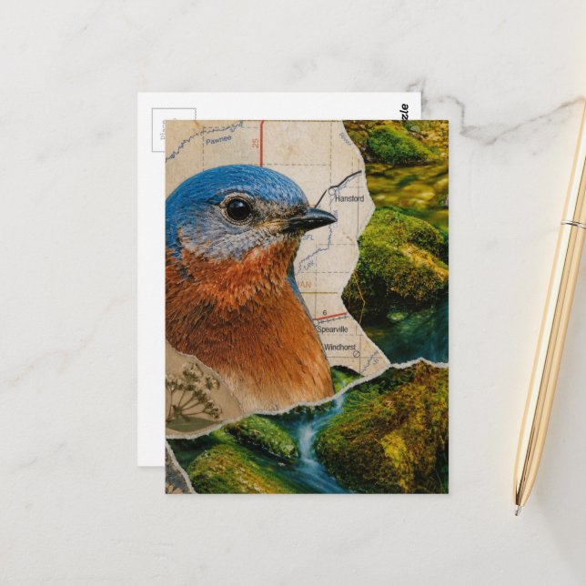 Beautiful Bluebird Forest Map Collage Postcard (Front/Back In Situ)