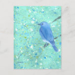 Beautiful Bluebird Postcard