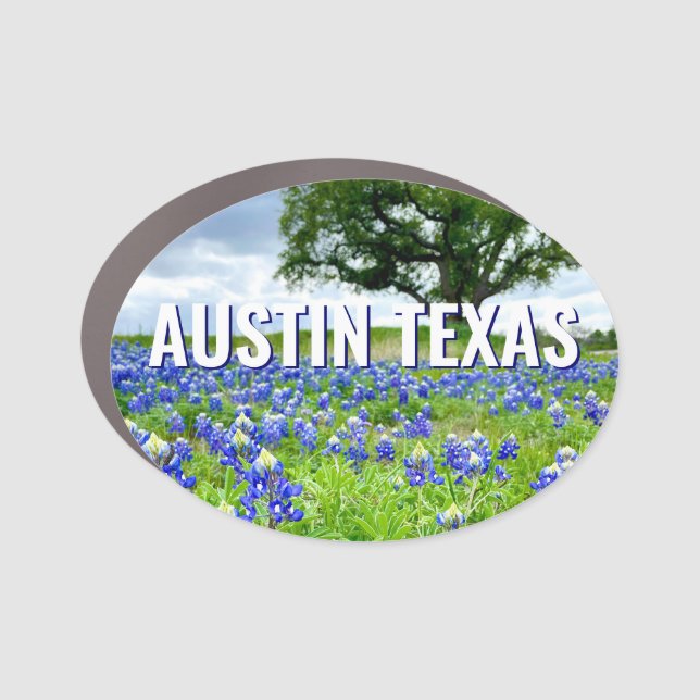 Beautiful Bluebonnets Austin Texas Photography Car Magnet (Front)